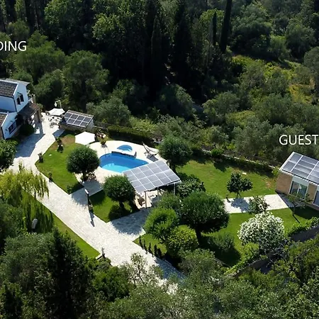 Pool In Corfu Total Privacy Beach Access Villa
