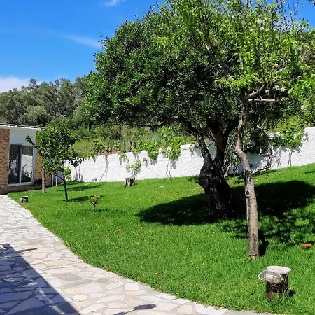 Villa Pool In Corfu Total Privacy Beach Access *